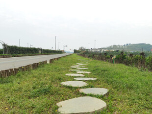 乡间石板路