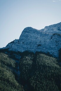 巍峨山峦与葱郁森林景观