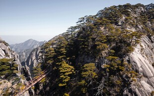 峻峭山峰上的葱郁植被