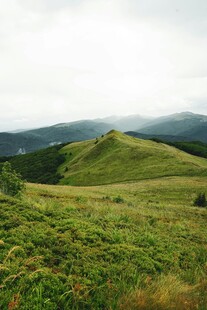 绿意盎然的山间美景