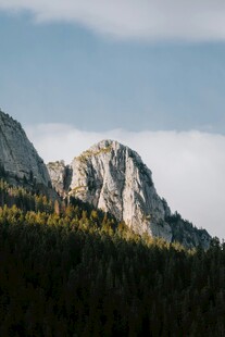 巍峨山峦与葱郁林木