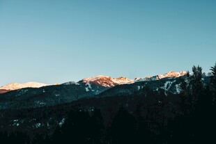 夕阳下的雪山森林美景