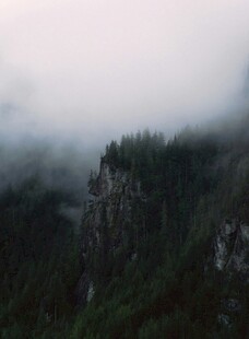 云雾缭绕的山林美景