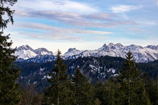 雪山森林美景