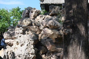 园林假山景观一角