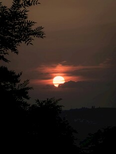 夕阳西下树林剪影美景