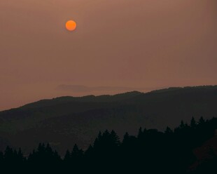 夕阳下的山峦与树林
