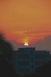 夕阳下的建筑与摇曳枝叶