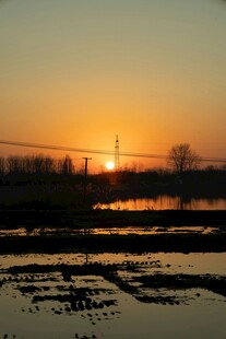 夕阳下的田野风光