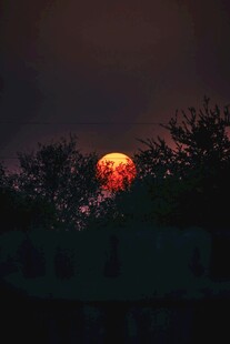 夕阳西下映红天际