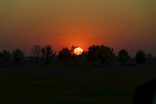 夕阳西下的田野美景