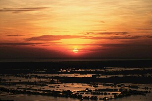 夕阳下的广袤湿地景观