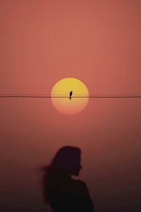 夕阳下的孤独身影
