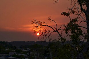夕阳西下树影绰约