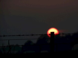 夕阳下的铁丝网景观