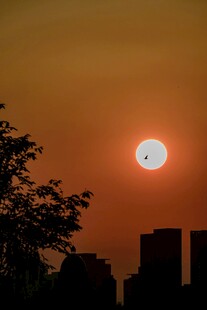 夕阳下城市与飞鸟景象
