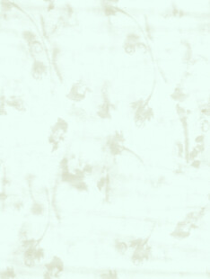 淡雅花卉纹理背景图