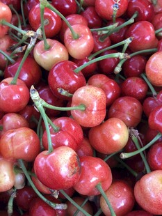 红樱桃