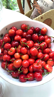 红樱桃
