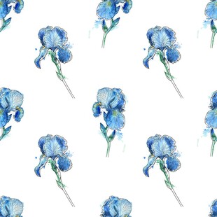 蓝色鸢尾花水彩图案背景