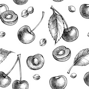 手绘樱桃坚果图案设计