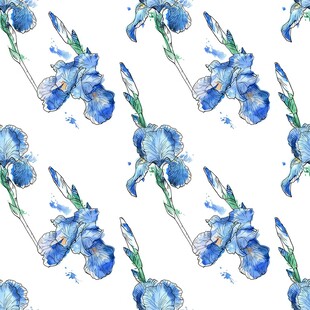 蓝色鸢尾花水彩图案背景