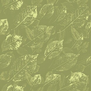 浅绿色树叶纹理背景图案