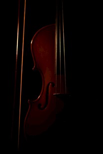 神秘氛围中的红色小提琴