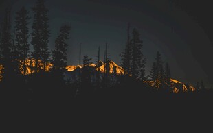 夜幕下山林中的暖光景象