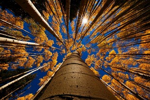 梦幻星空下的高耸建筑