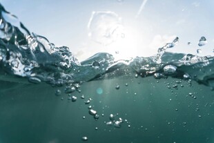水下波光粼粼的灵动瞬间
