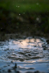 雨滴落入水面的美丽瞬间