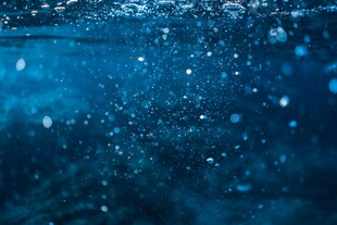 深海中的梦幻气泡世界