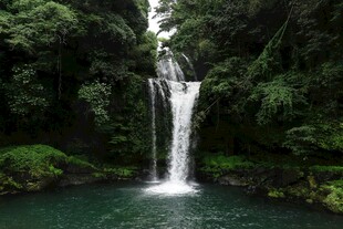 雨林中的美丽瀑布景观