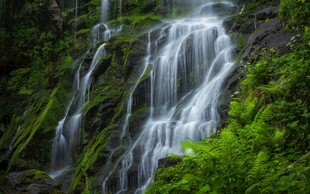 山间瀑布下的翠绿景致