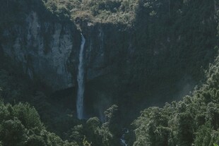 山间瀑布垂落葱郁森林