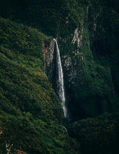 山间瀑布垂挂绿意盎然