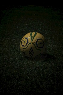 草地上的个性足球