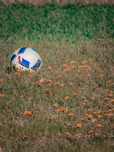 草地上的多彩足球