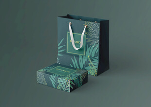 礼品纸袋纸盒包装样机