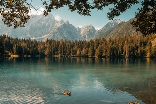 湖畔山林美景