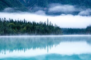 宁静湖畔森林云雾美景