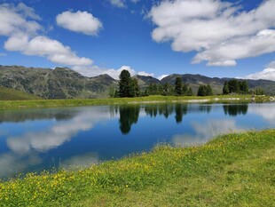 宁静湖畔美景