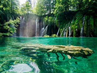 梦幻碧绿潭水与林间瀑布