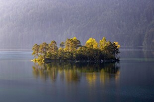 湖中小岛秋景如画