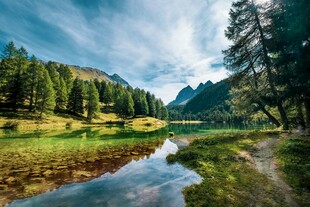 山间溪流旁的葱郁美景