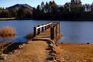 湖畔木桥风景
