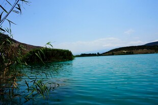 湖畔美景 碧水蓝天芦苇