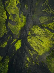 俯瞰翠绿山林景观