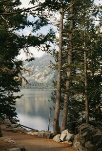 湖畔山林美景